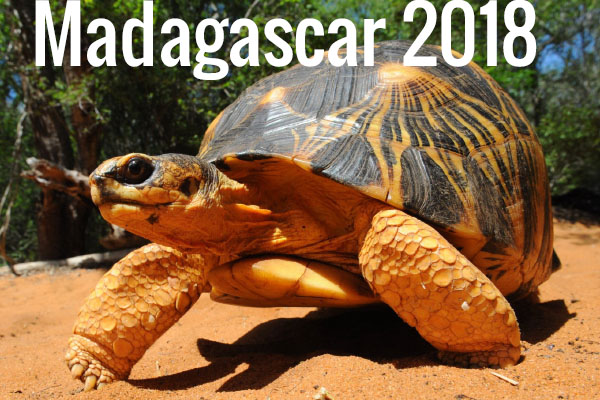 Madagascar 2018