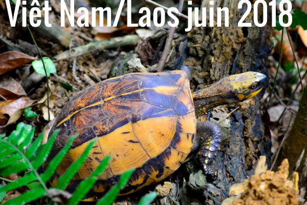 Viêt Nam/Laos juin 2018