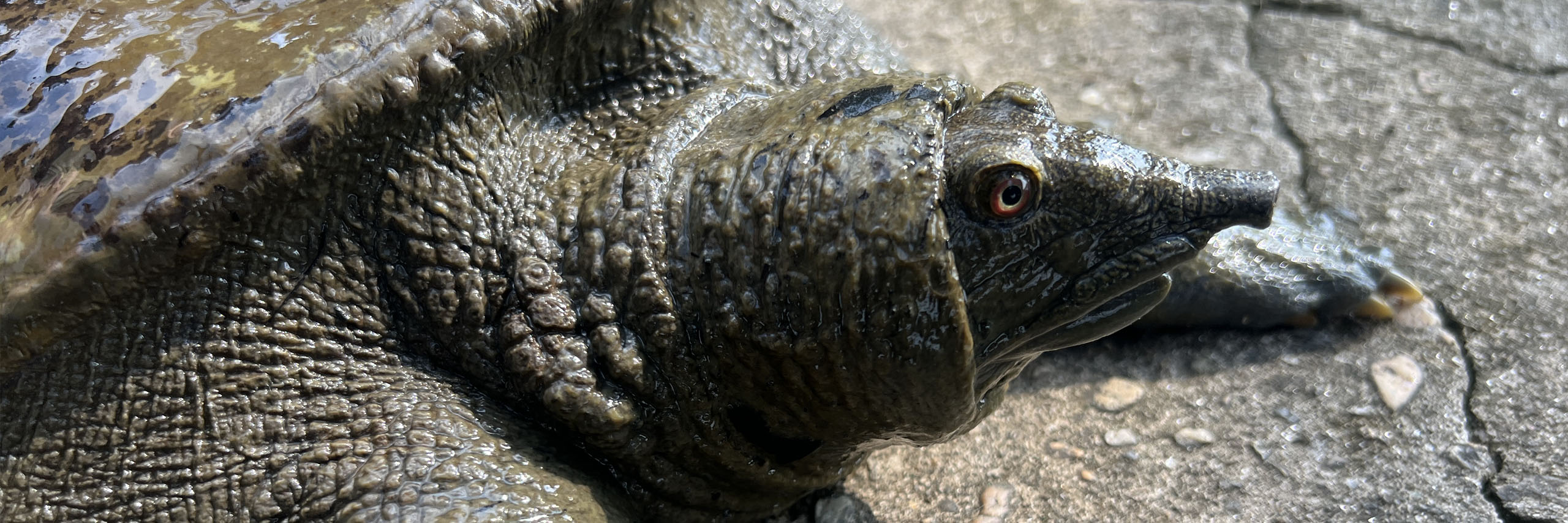 Mission Rivière Rouge 2025