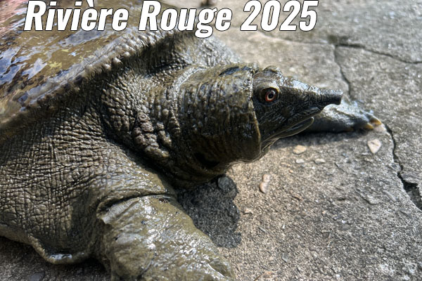 Mission Rivière Rouge 2025