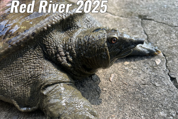 Mission Red River 2025