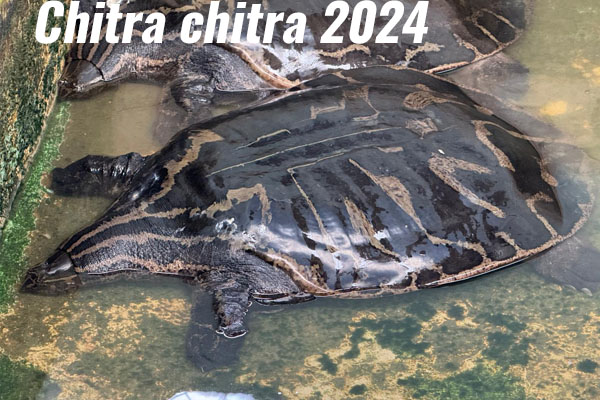 Mission Chitra chitra 2024